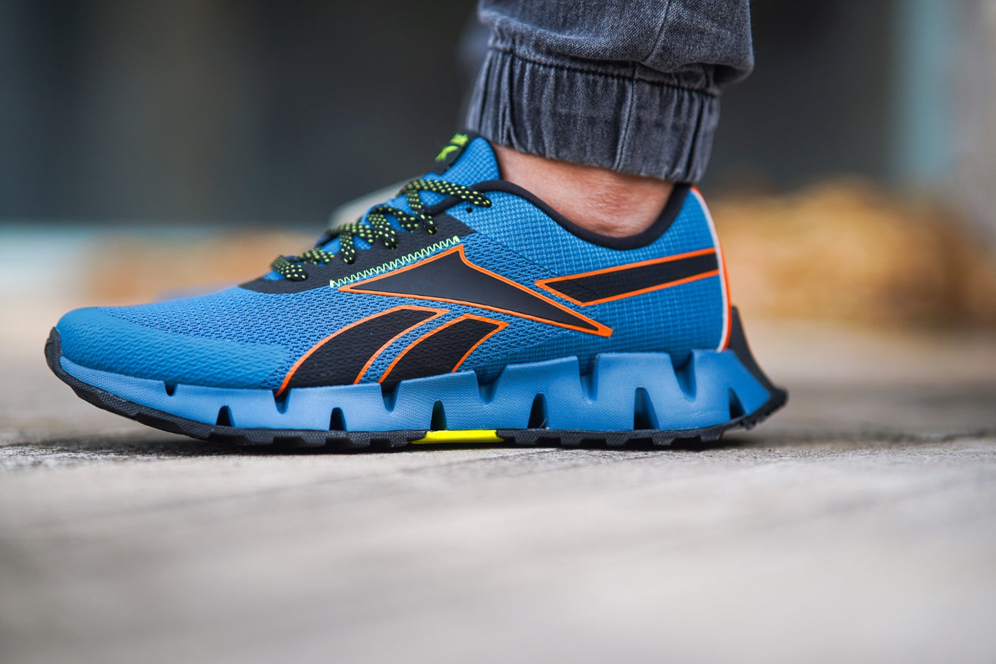 Zapatillas Reebok Zig Dynamica 2 Adventure