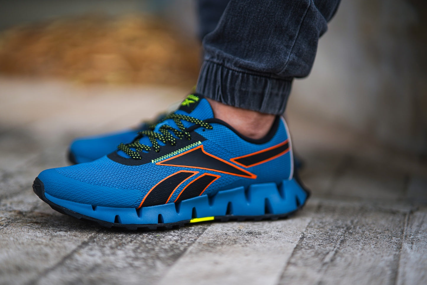 Zapatillas Reebok Zig Dynamica 2 Adventure