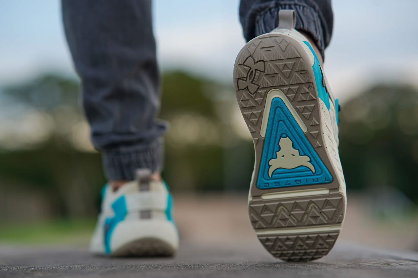 Zapatillas Under Armour Project Rock 6