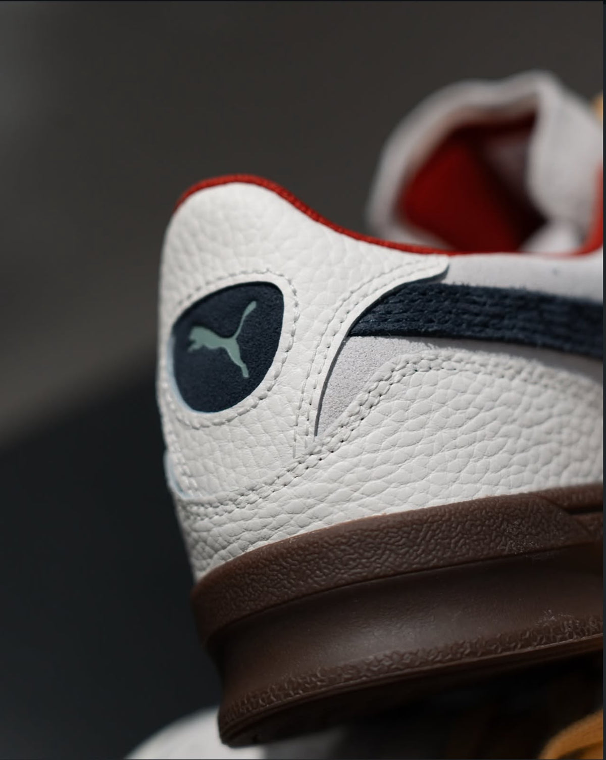 Zapatillas Puma Indoor road to unity
