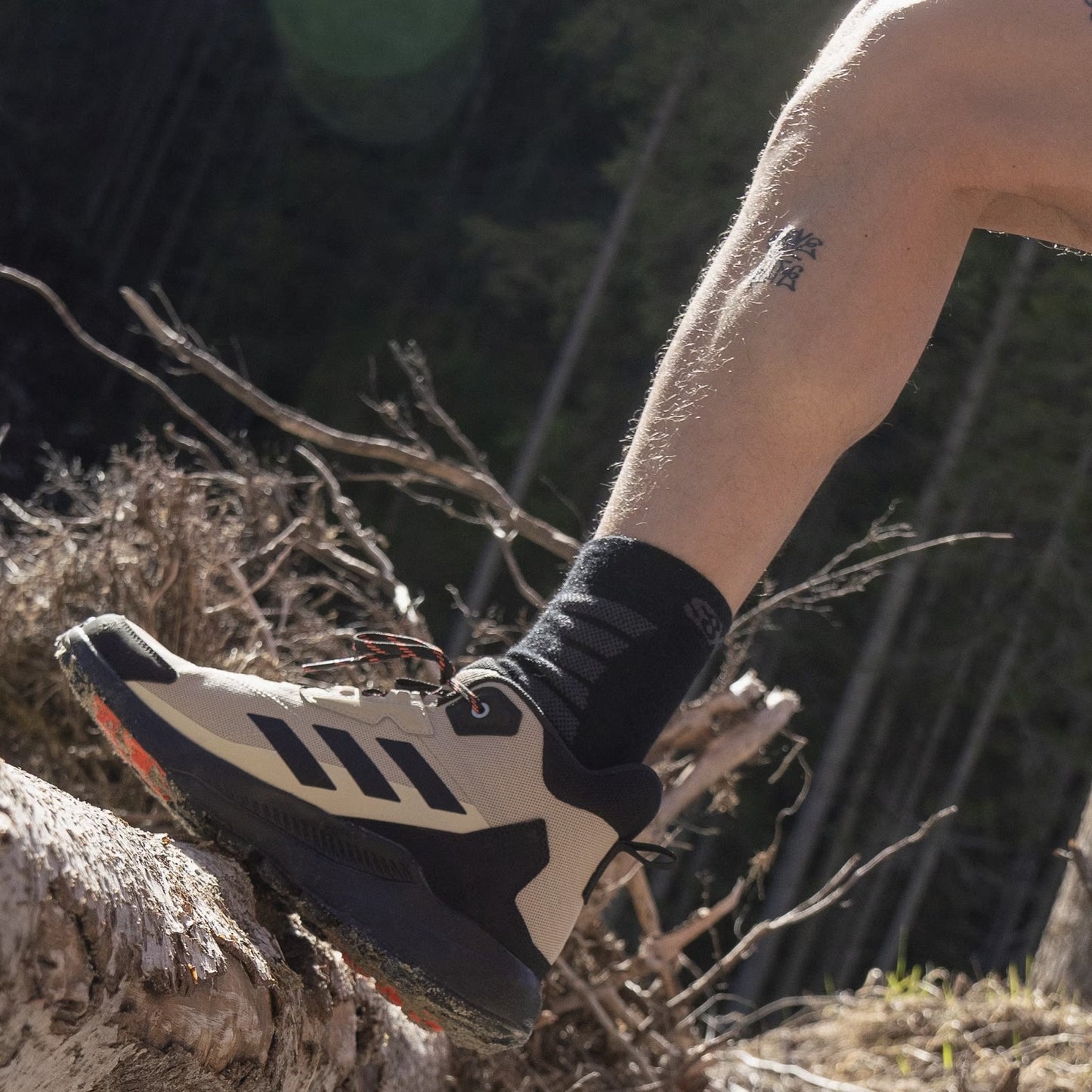 Zapatillas Adidas Terrex Anylander Mid